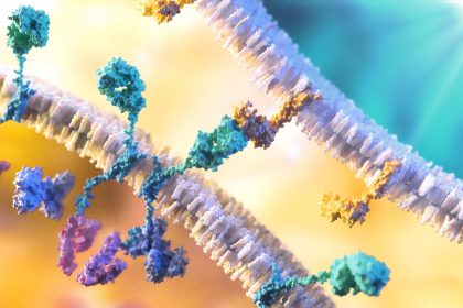 Cancer : comment l’immunothérapie et le mode de vie renforcent le système immunitaire