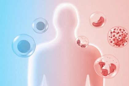 Cette découverte récompensée par le Nobel pourrait révolutionner les traitements de l’auto-immunité et du cancer