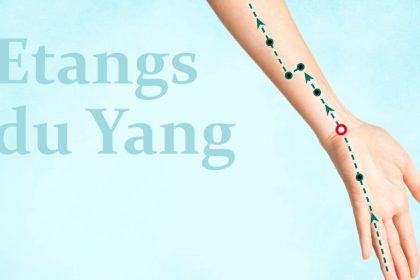 Yang Chi : l’acupression pour soulager vos douleurs aux poignets