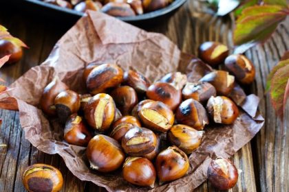 La châtaigne : pourquoi ce fruit sec est un allié santé exceptionnel