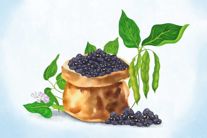 Haricots noirs : un super-aliment aux multiples bienfaits pour votre santé