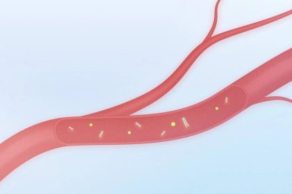 Toujours fatigué ? Et si la cause se trouvait dans votre sang… et dans votre assiette ?