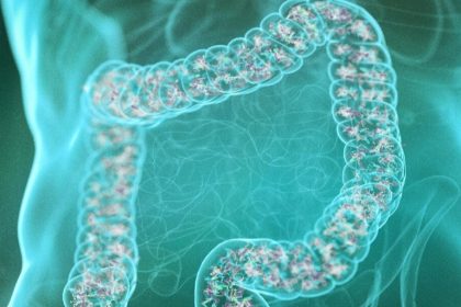 Stress et intestin : pourquoi l’anxiété favorise la prise de poids et comment en sortir