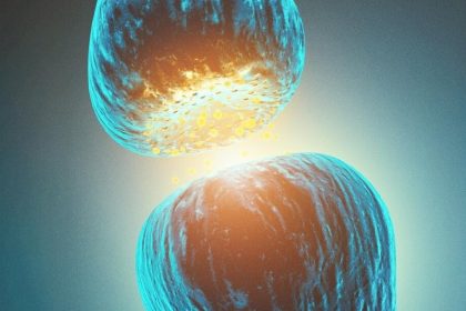 Comment augmenter naturellement le taux de GABA