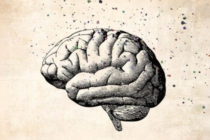 Protéger son cerveau des toxines : stratégies de détox et prévention du déclin cognitif