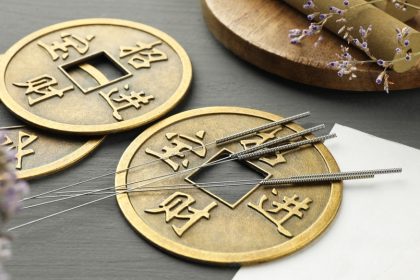 2 000 ans d’histoire médicale : les plus anciennes aiguilles d’acupuncture mises au jour