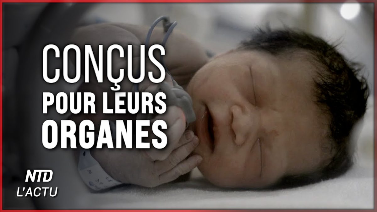 Transplantations d’organes de nourrissons : les atrocités cachées de la Chine