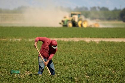Le privilège de perdre de l’argent pour vous nourrir