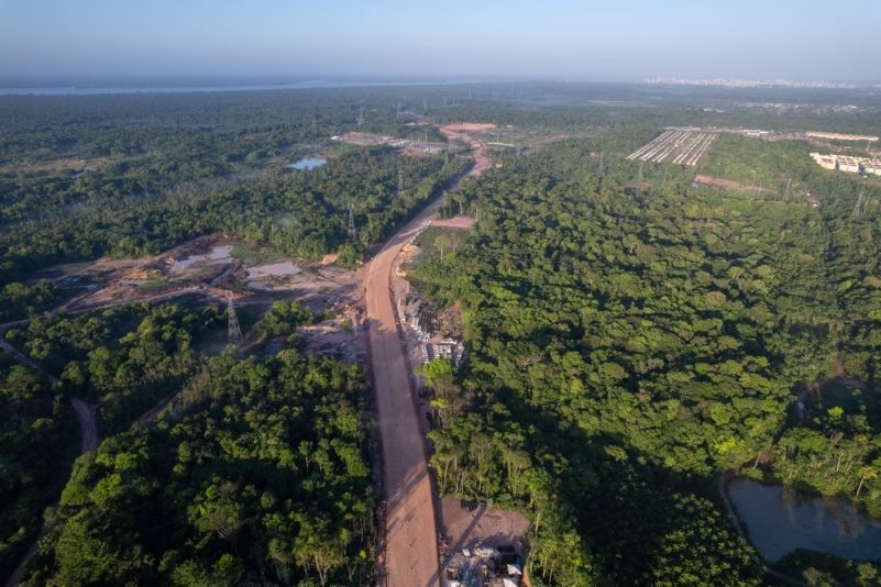 Des dizaines de milliers d’hectares de forêt tropicale rasés pour une autoroute, juste avant la COP30