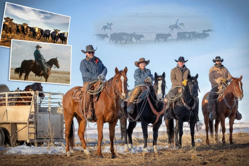 Tradition de cowboys et marketing digital: la stratégie d’un ranch du ...