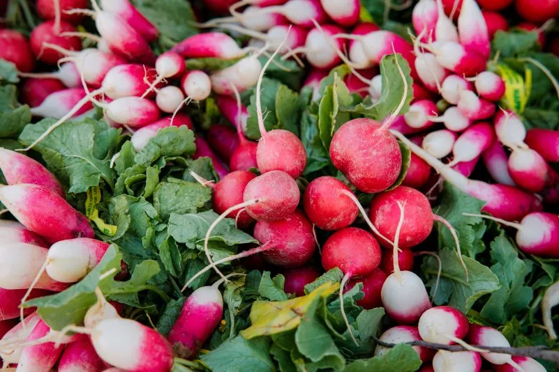 Le radis, la petite bombe santé du printemps