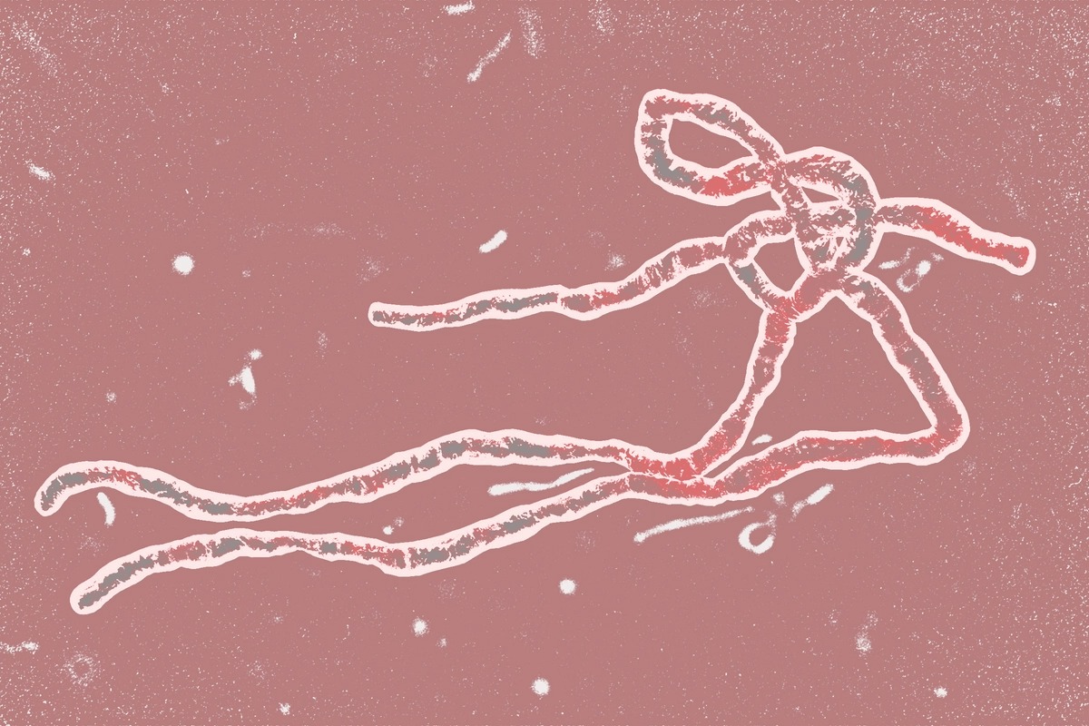 Ebola : pourquoi vous n’avez pas à vous inquiéter malgré sa dangerosité