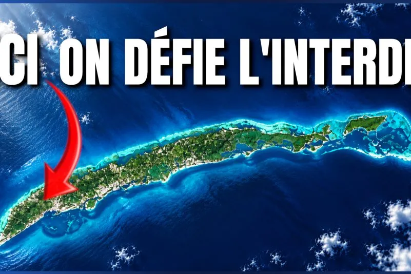 Puces sous cutanées, thérapies géniques : Prospera, l’île sans limites